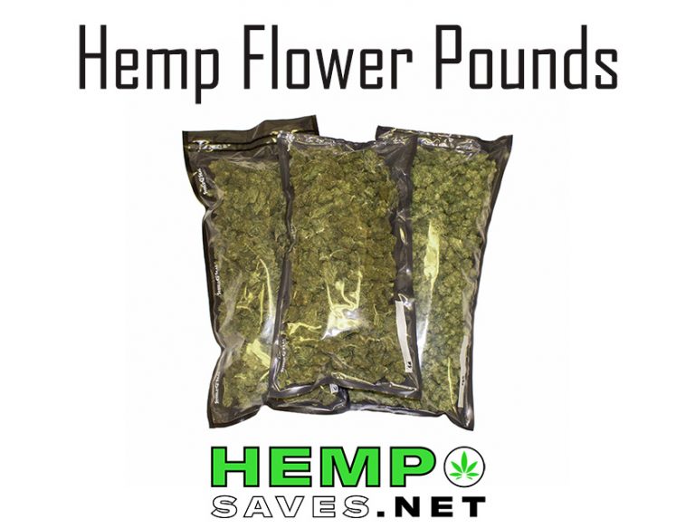 CBD Hemp Flower Pounds Best Prices and Best Farms/ Distributors